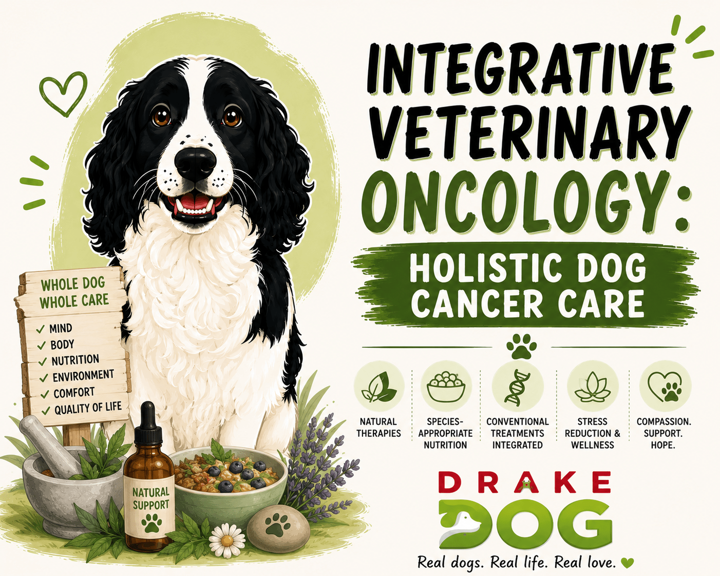 Integrative Veterinary Oncology: Holistic Dog Cancer Care - Drake Dog Cancer Foundation
