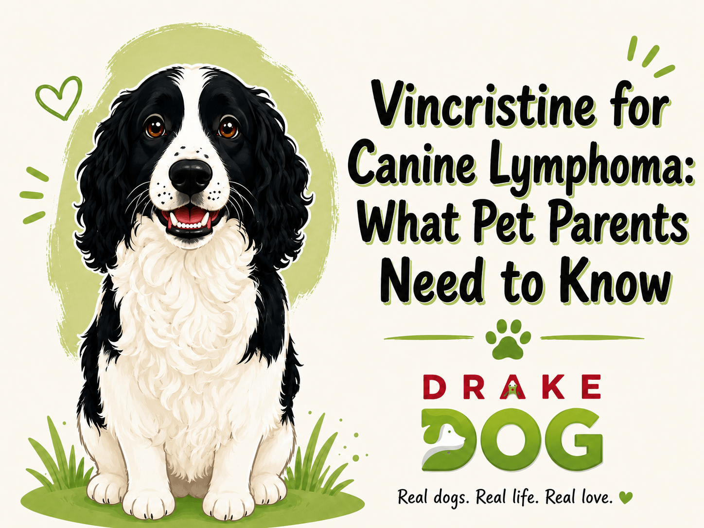 Vincristine for Canine Lymphoma: What Pet Parents Need to Know - Drake Dog Cancer Foundation