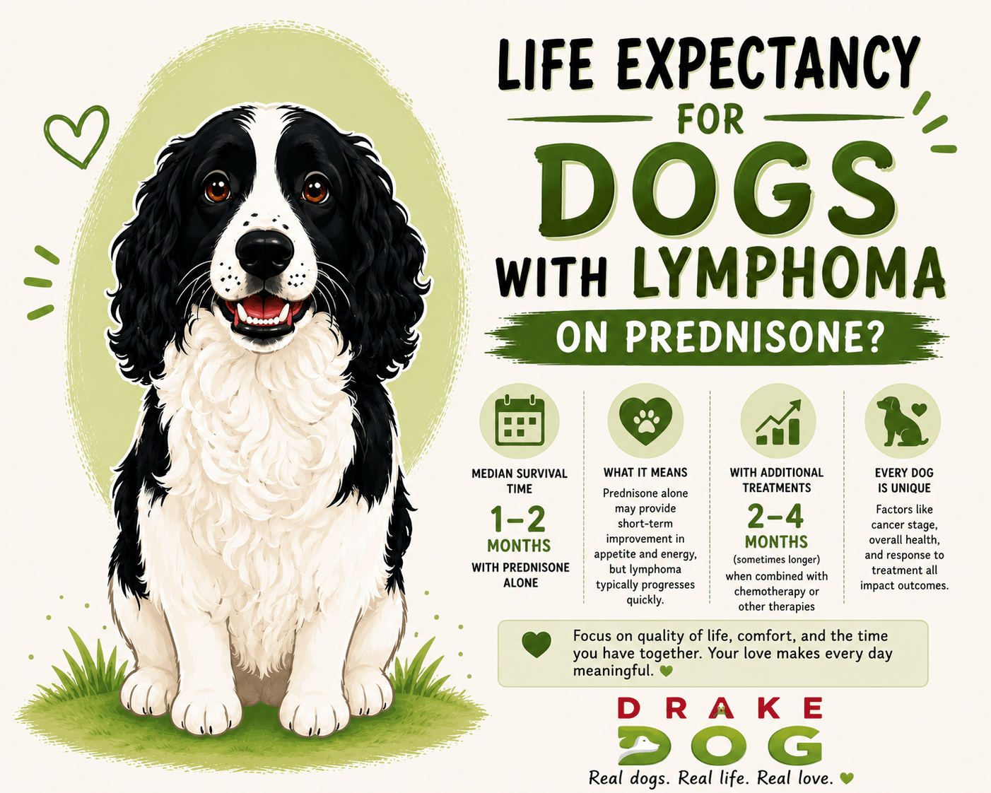 Life Expectancy for Dog with Lymphoma on Prednisone? - Drake Dog Cancer Foundation