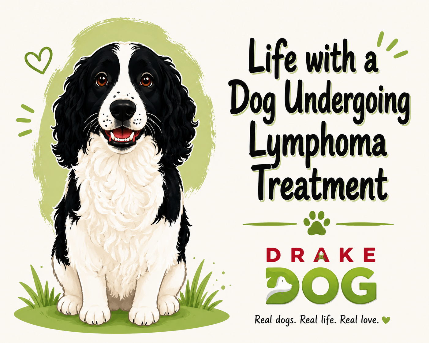 Life with a Dog Undergoing Lymphoma Treatment - Drake Dog Cancer Foundation