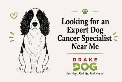Looking for an Expert Dog Cancer Specialist Near Me - Drake Dog Cancer Foundation