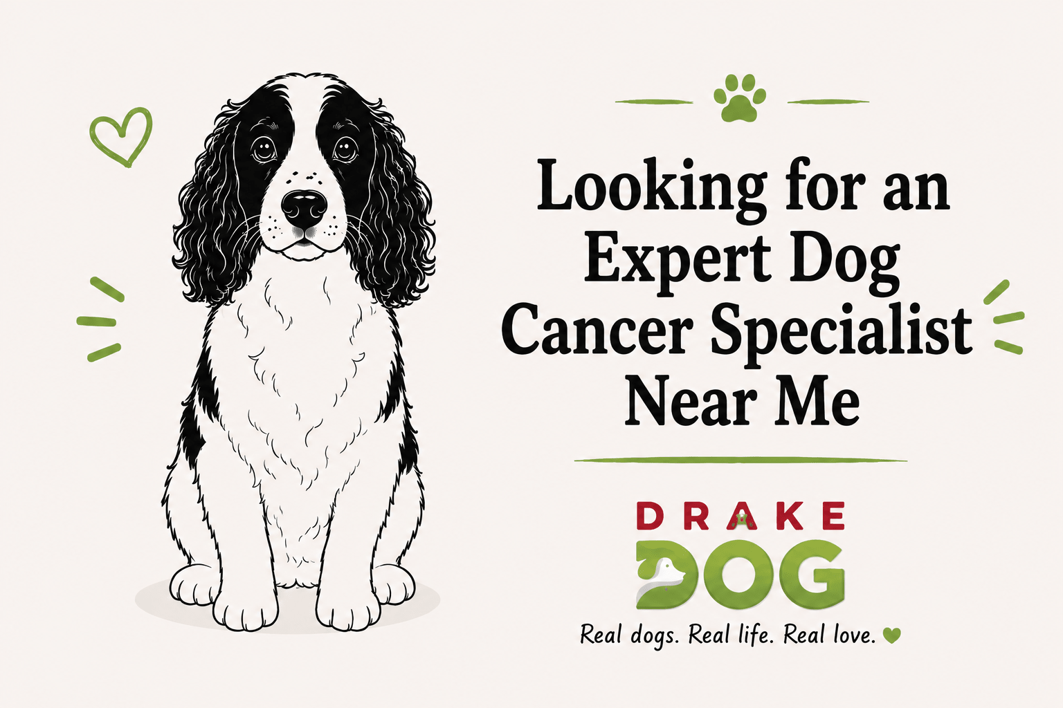 Looking for an Expert Dog Cancer Specialist Near Me - Drake Dog Cancer Foundation