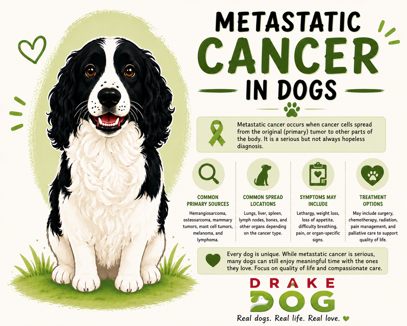 Metastatic Cancer in Dogs