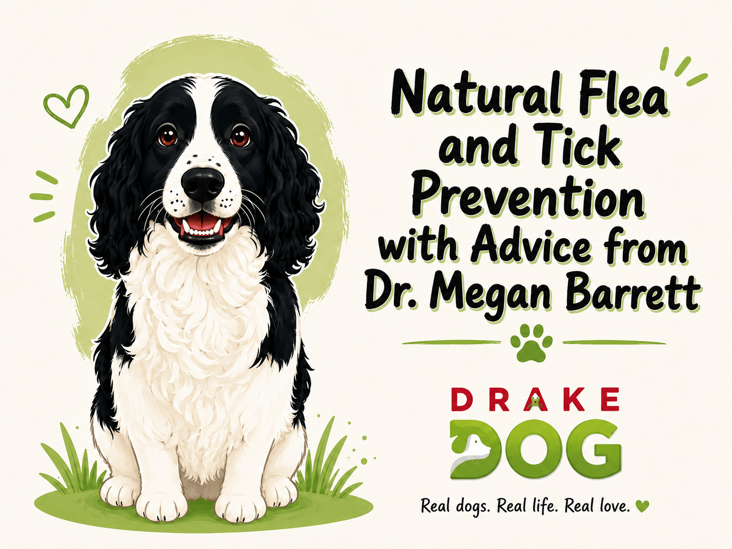 Natural Flea and Tick Prevention with Advice from Dr. Megan Barrett - Drake Dog Cancer Foundation