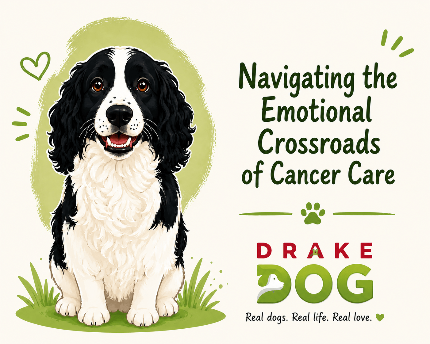 Navigating the Emotional Crossroads of Cancer Care - Drake Dog Cancer Foundation