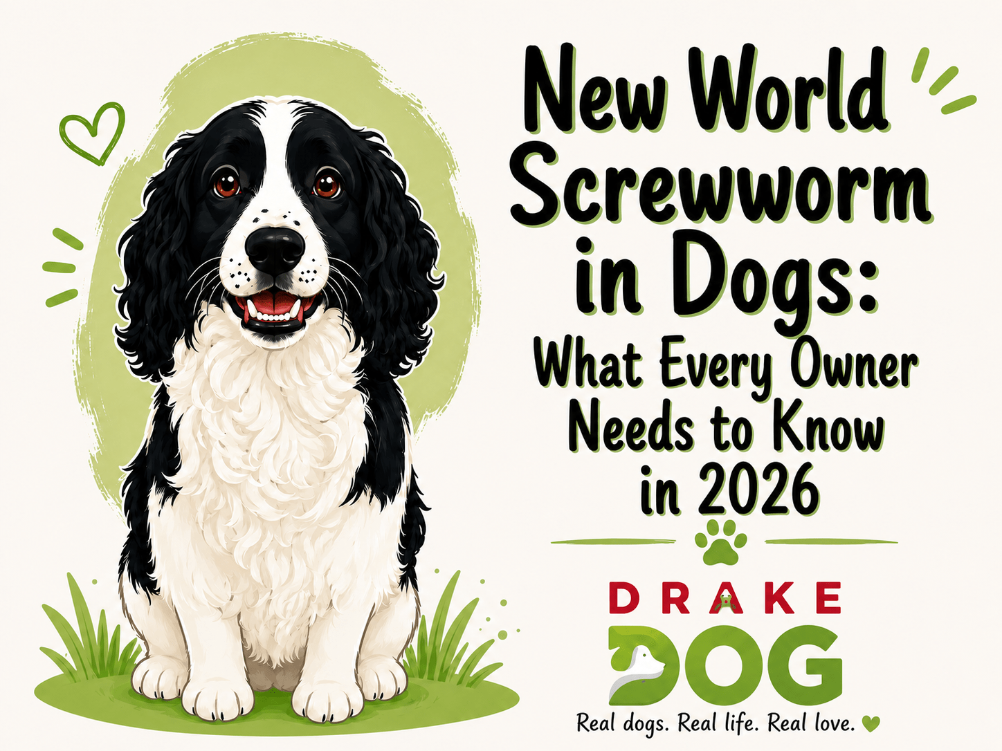 New World Screwworm in Dogs: What Every Owner Needs to Know in 2026 - Drake Dog Cancer Foundation
