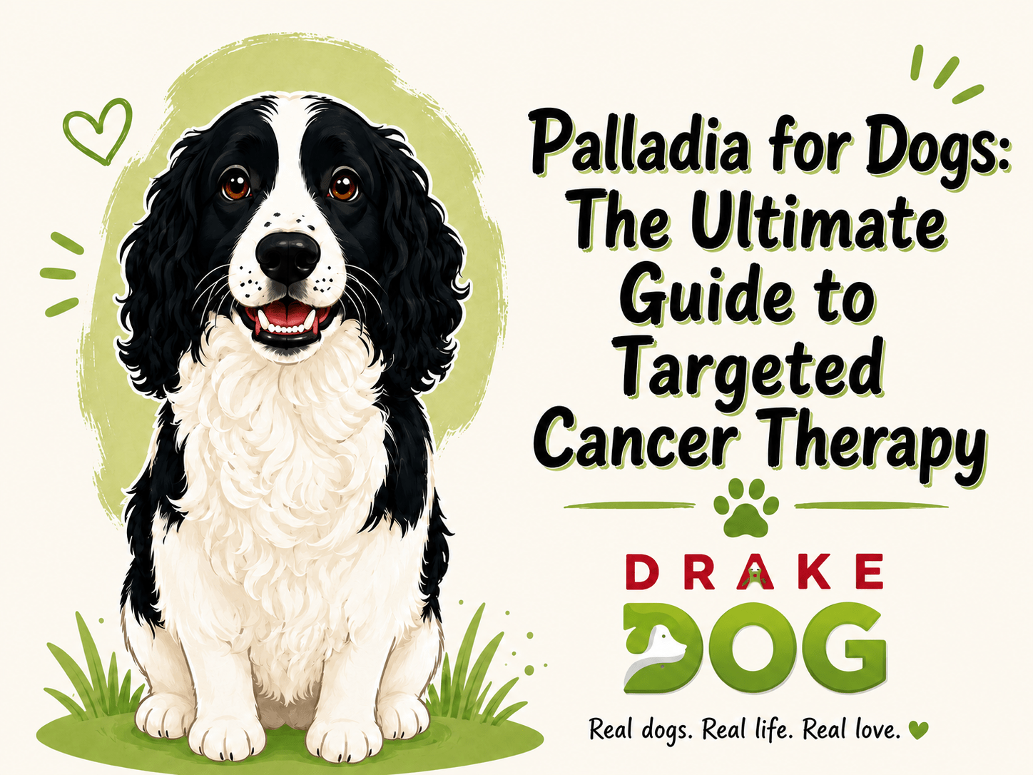 Palladia for Dogs: The Ultimate Guide to Targeted Cancer Therapy - Drake Dog Cancer Foundation