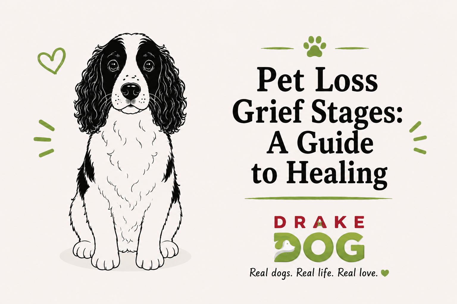 Pet Loss Grief Stages: A Guide to Healing - Drake Dog Cancer Foundation