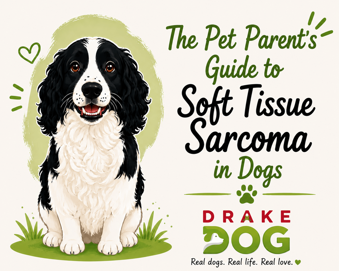 The Pet Parent's Guide to Soft Tissue Sarcoma in Dogs - Drake Dog Cancer Foundation