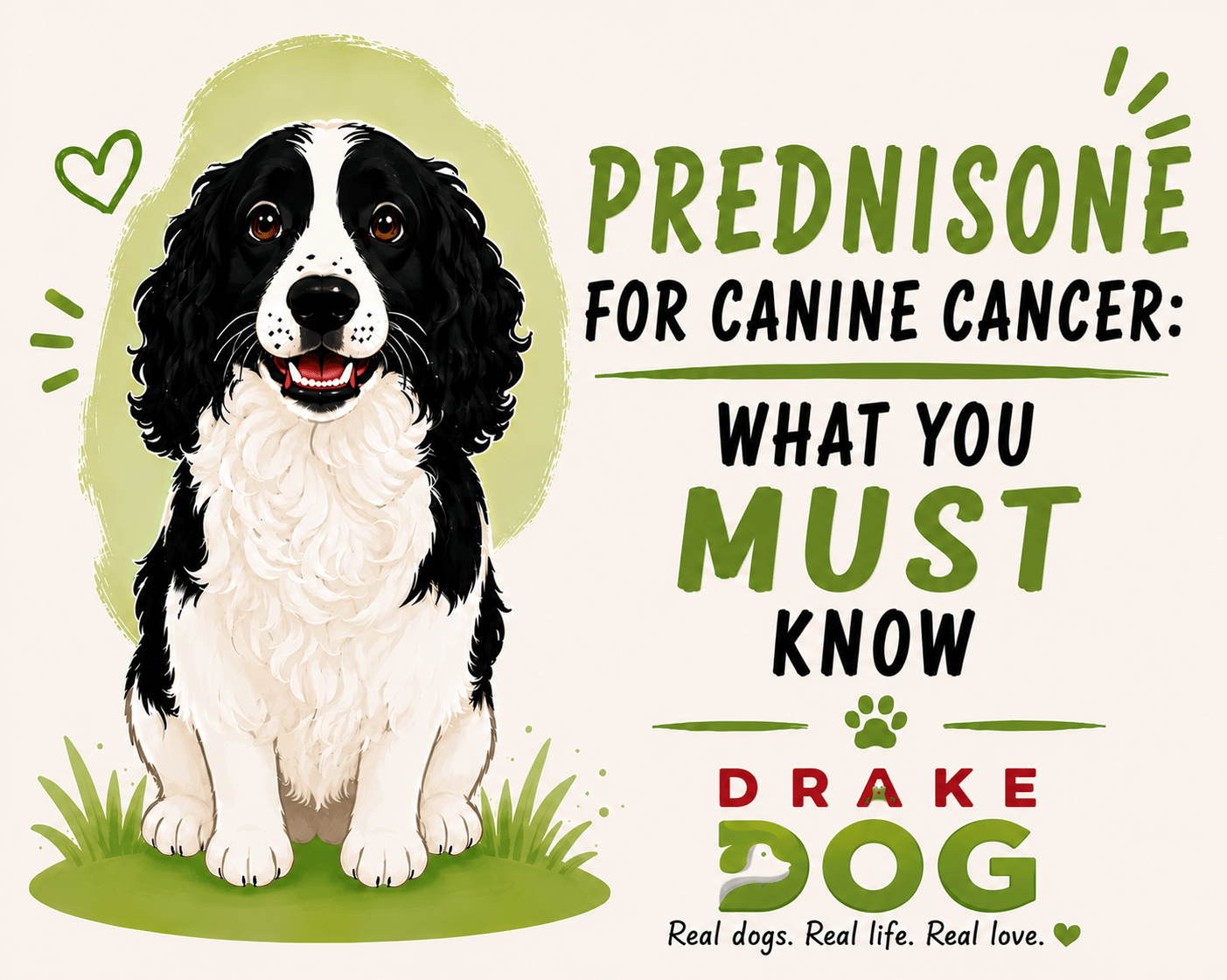 Prednisone for Canine Cancer: What You Must Know - Drake Dog Cancer Foundation