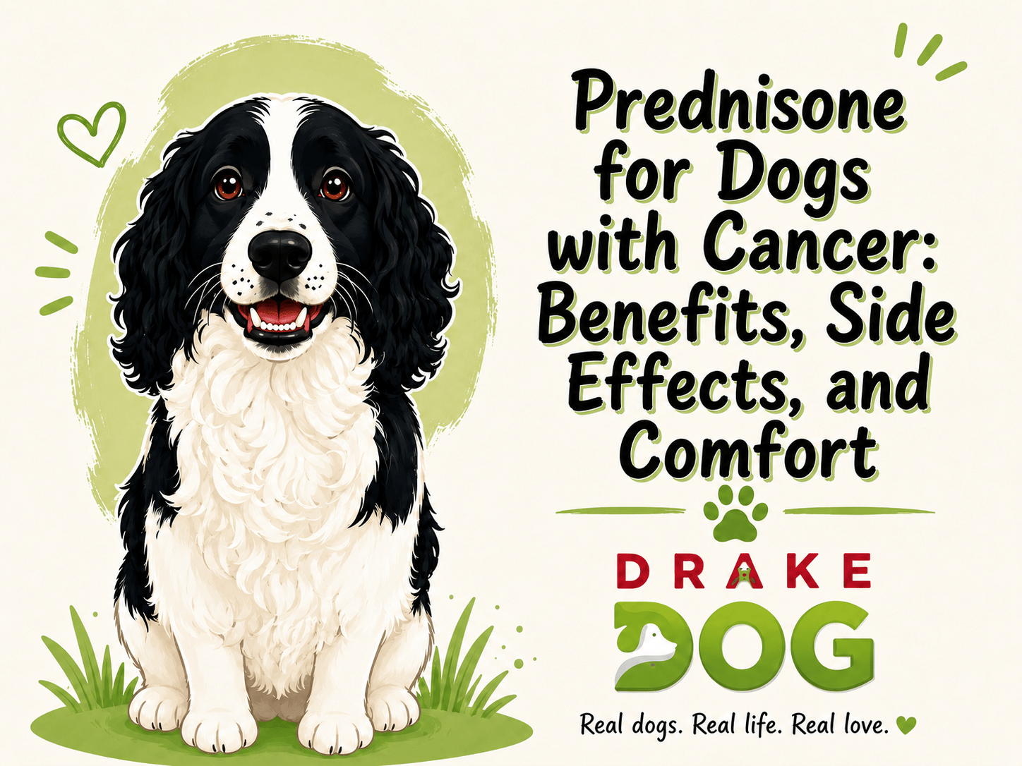 Prednisone for Dogs with Cancer: Benefits, Side Effects, and Comfort - Drake Dog Cancer Foundation