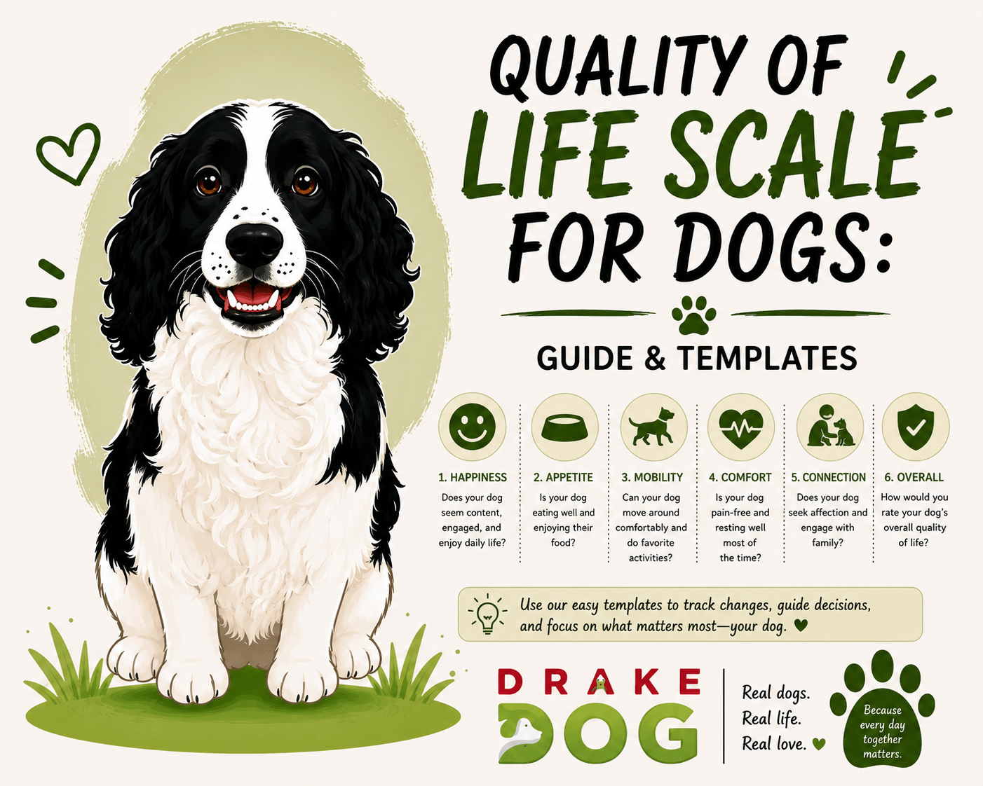 Quality of Life Scale For Dogs: Guide & Templates - Drake Dog Cancer Foundation