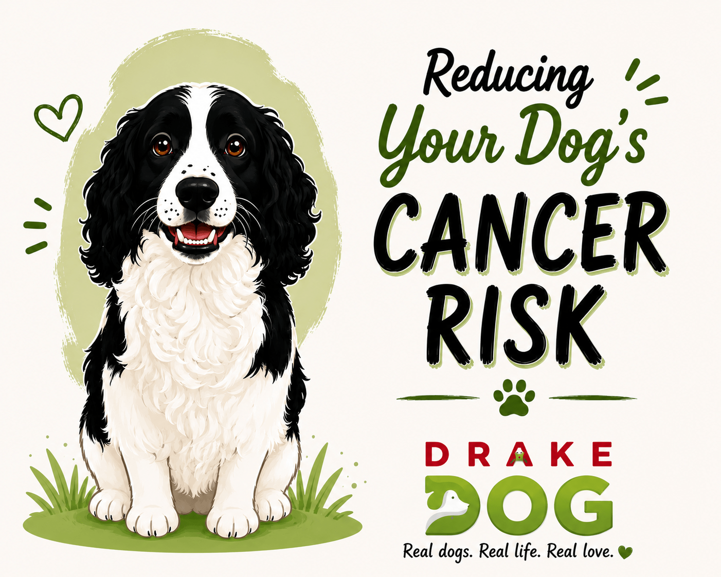 Reducing Your Dog's Cancer Risk - Drake Dog Cancer Foundation