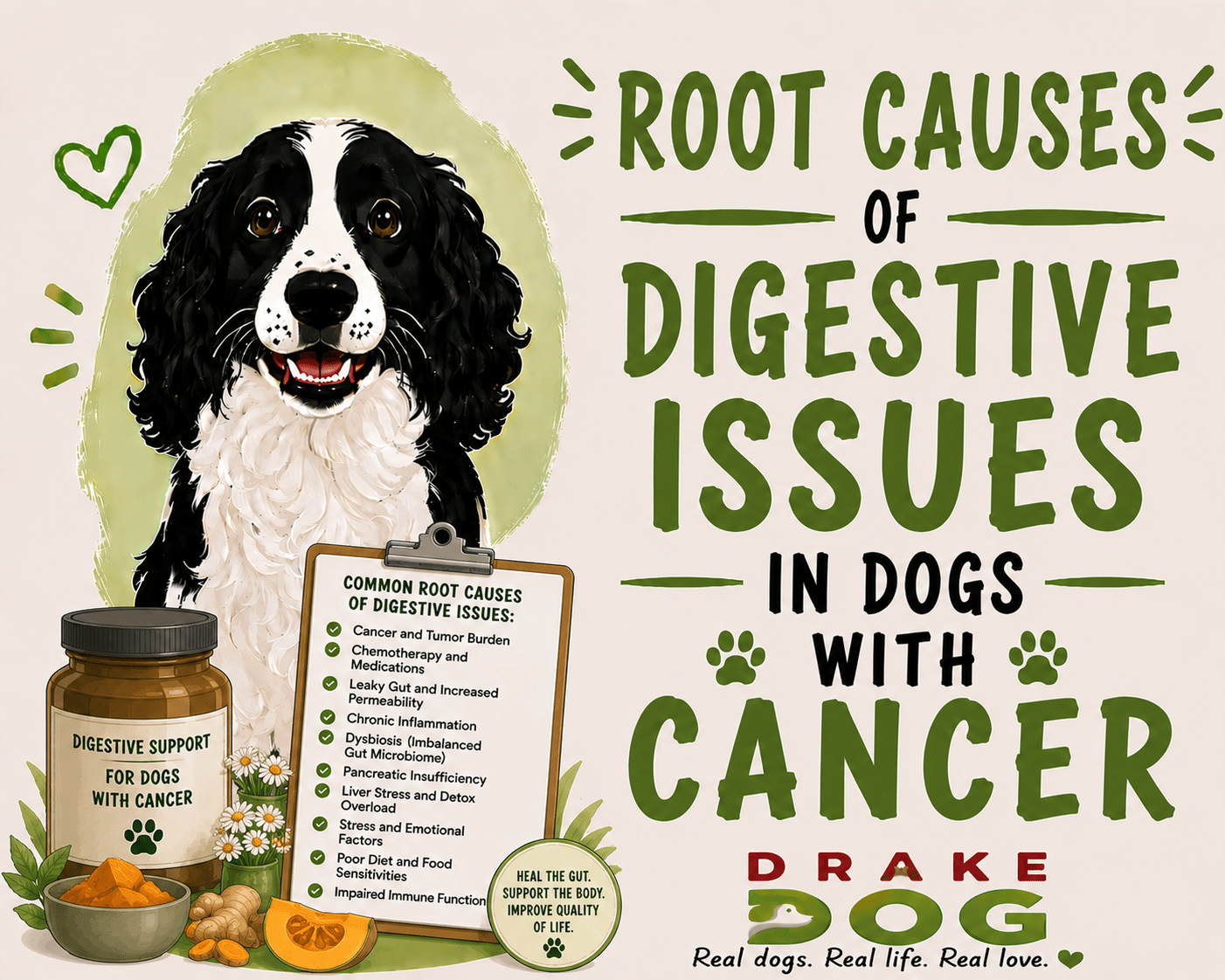 Root Causes of Digestive Issues in Dogs with Cancer - Drake Dog Cancer Foundation