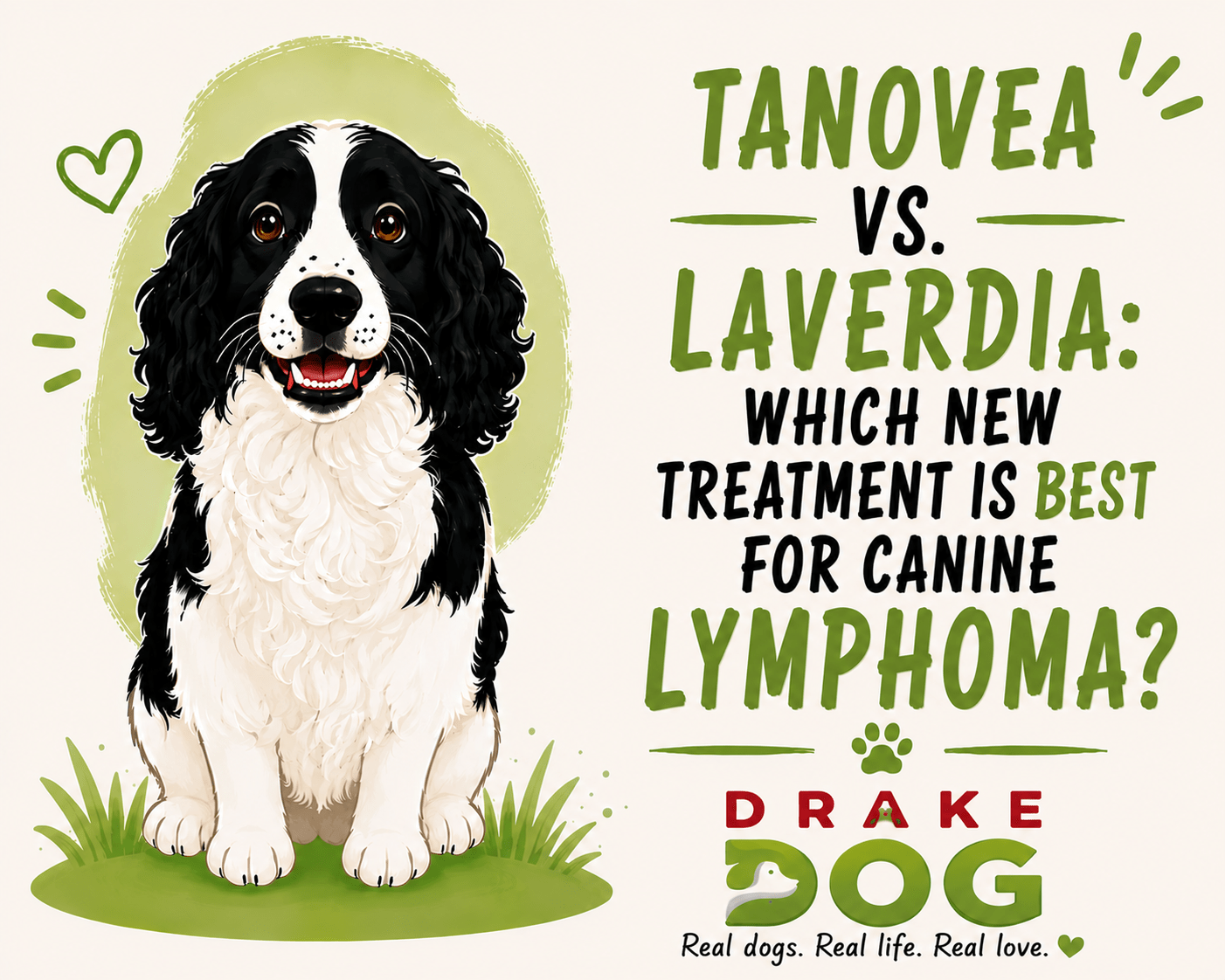 Tanovea Vs. Laverdia: Which New Treatment Is Best for Canine Lymphoma? - Drake Dog Cancer Foundation