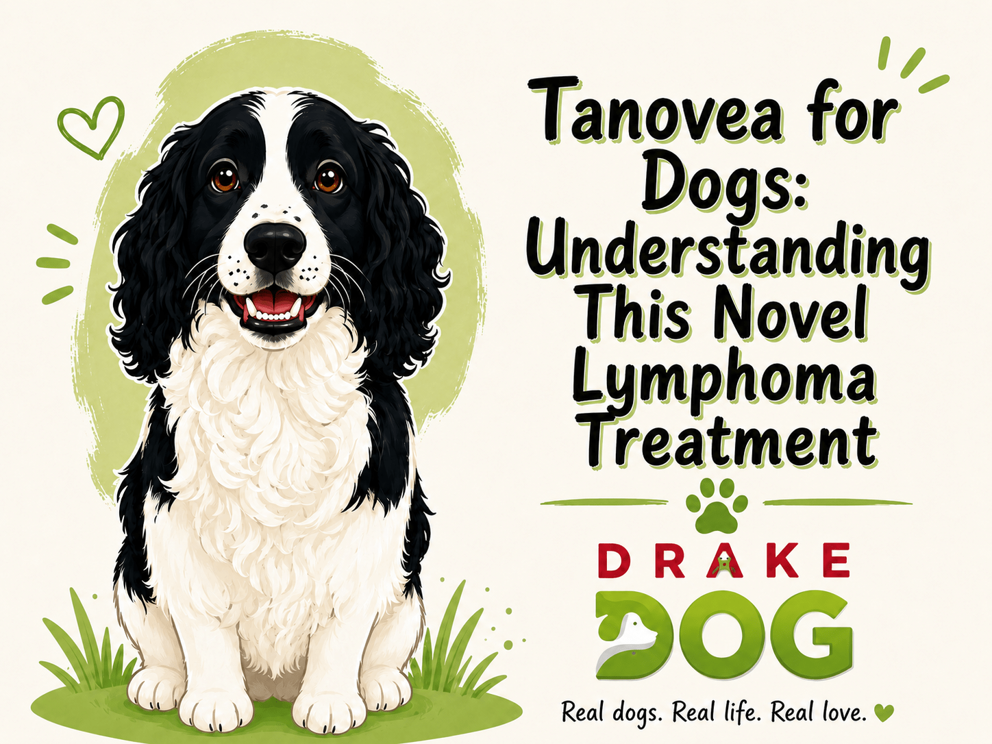 Tanovea for Dogs: Understanding This Novel Lymphoma Treatment - Drake Dog Cancer Foundation