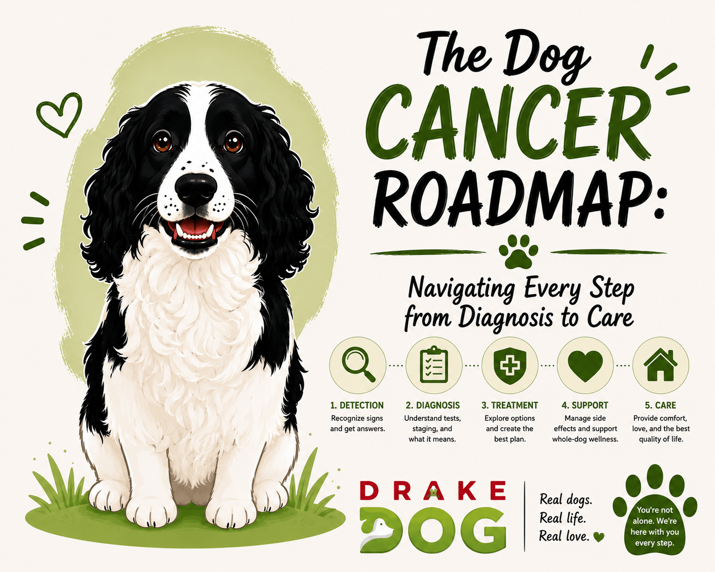 The Dog Cancer Roadmap: Navigating Every Step from Diagnosis to Care - Drake Dog Cancer Foundation