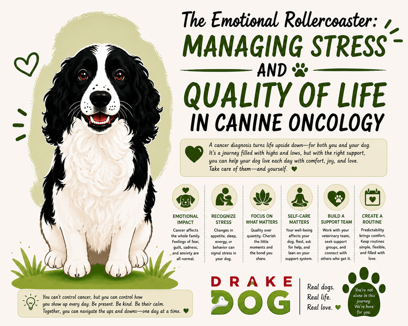 The Emotional Rollercoaster: Managing Stress and Quality of Life in Canine Oncology - Drake Dog Cancer Foundation