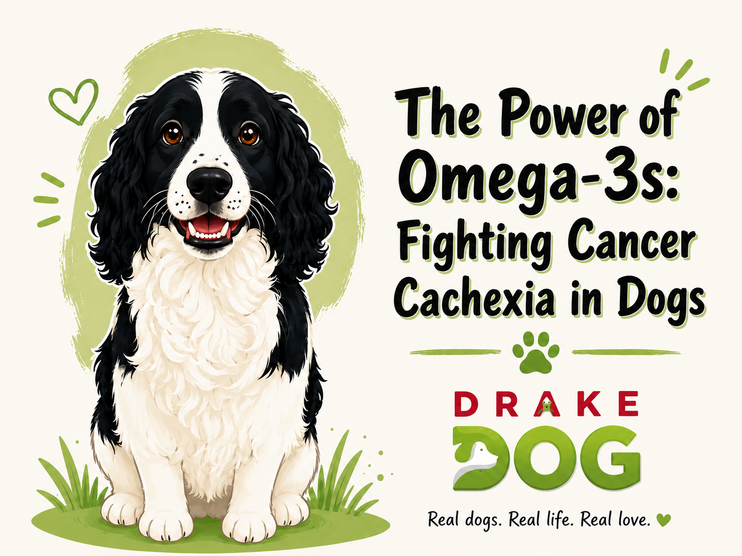 The Power of Omega-3s: Fighting Cancer Cachexia in Dogs