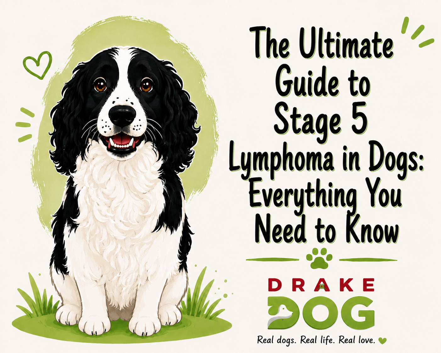 The Ultimate Guide to Stage 5 Lymphoma in Dogs: Everything You Need to Know - Drake Dog Cancer Foundation