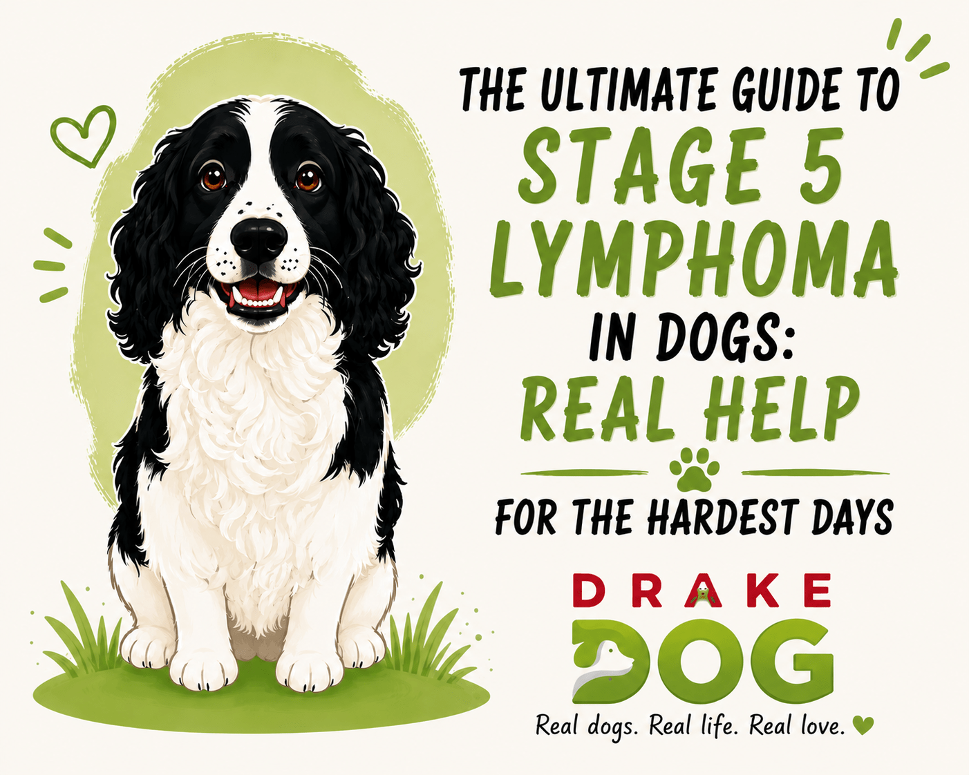 The Ultimate Guide to Stage 5 Lymphoma in Dogs: Real Help for the Hardest Days - Drake Dog Cancer Foundation