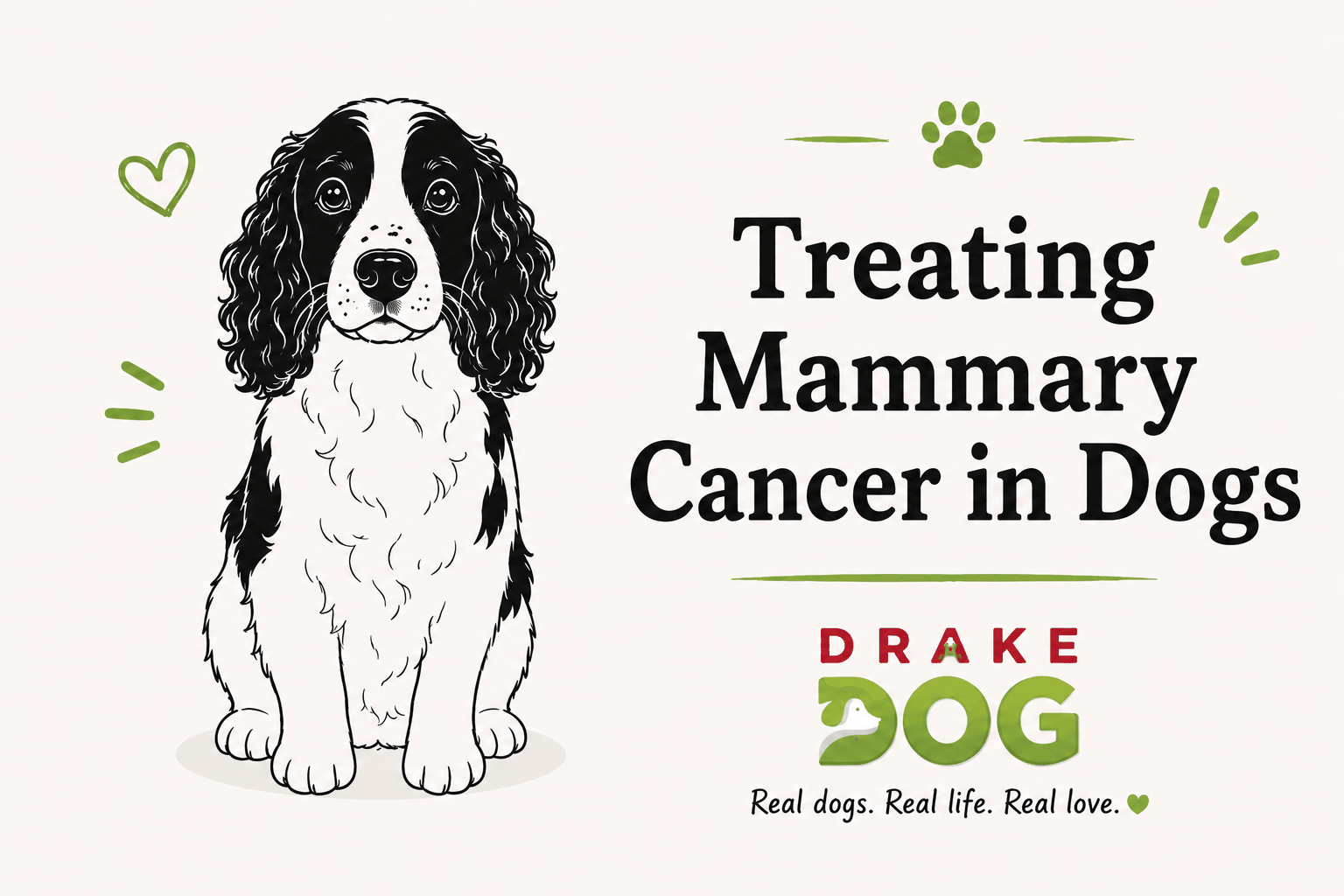 Treating Mammary Cancer in Dogs - Drake Dog Cancer Foundation