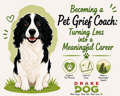 Becoming a Pet Grief Coach: Turning Loss into a Meaningful Career - Drake Dog Cancer Foundation