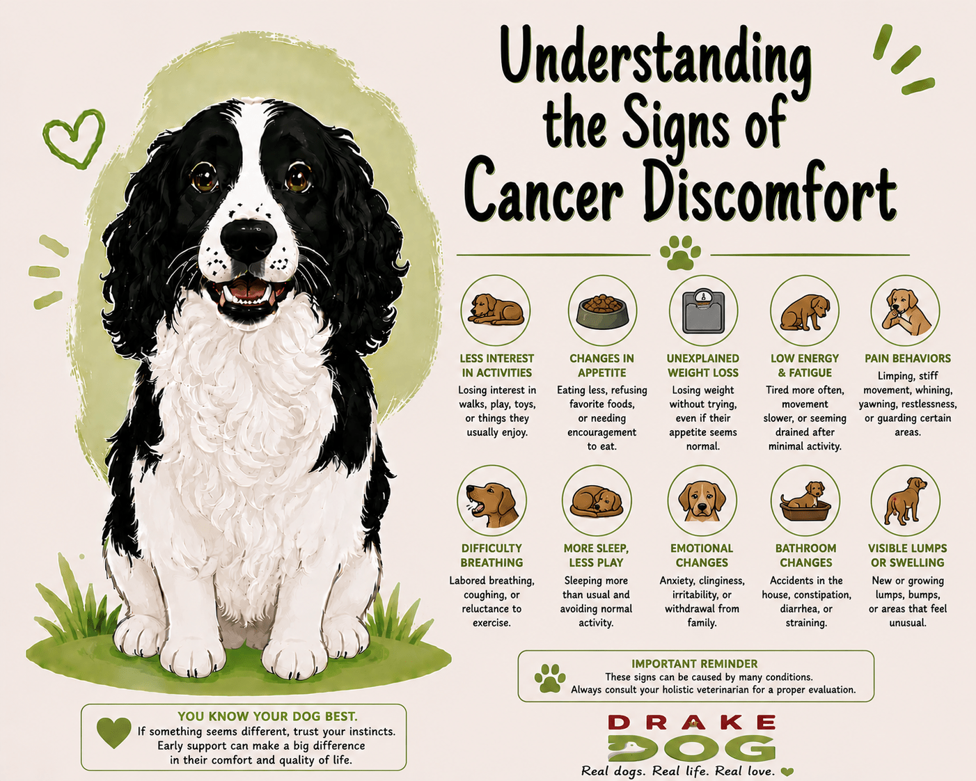 Understanding the Signs of Cancer Discomfort - Drake Dog Cancer Foundation