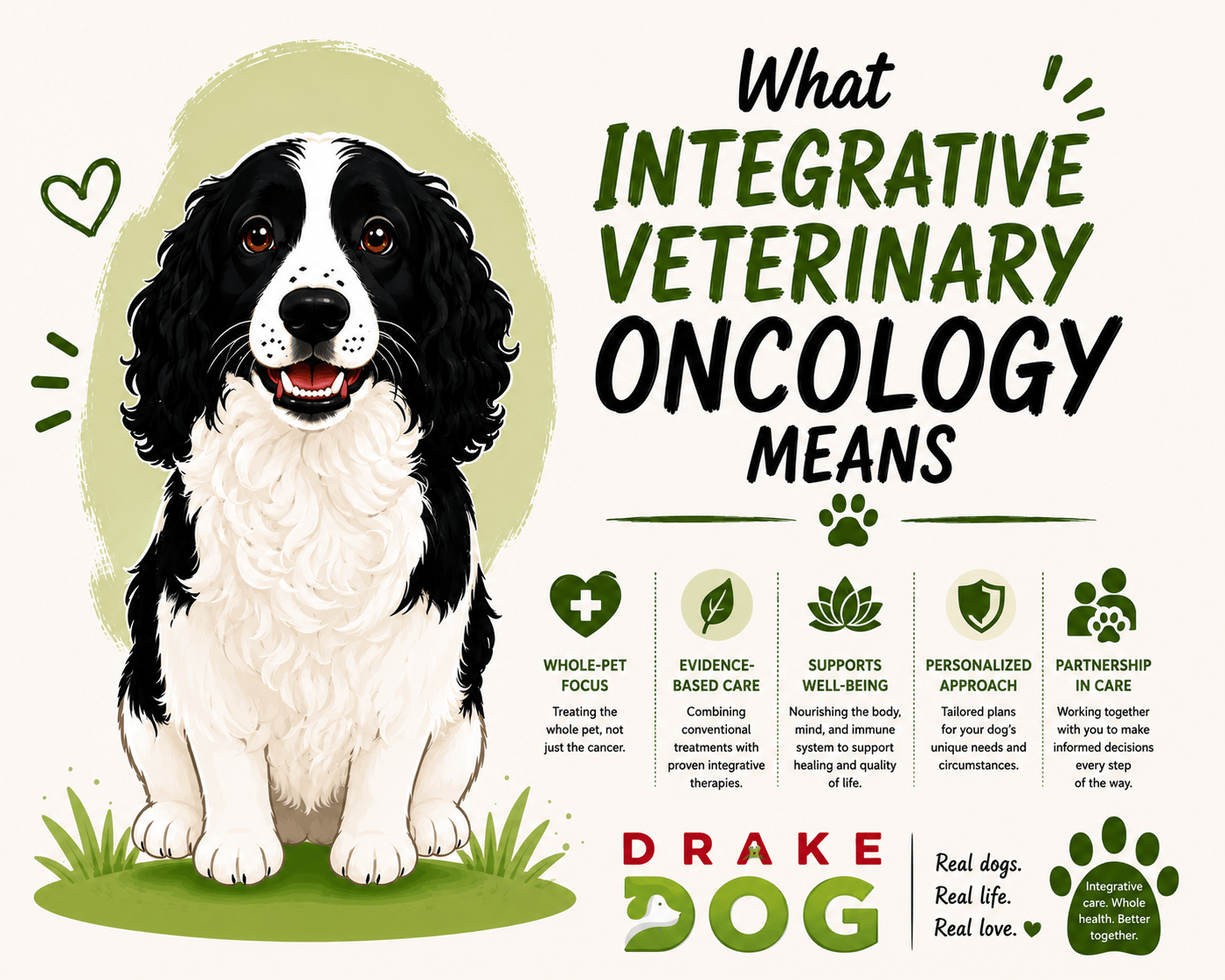 What Integrative Veterinary Oncology Means - Drake Dog Cancer Foundation