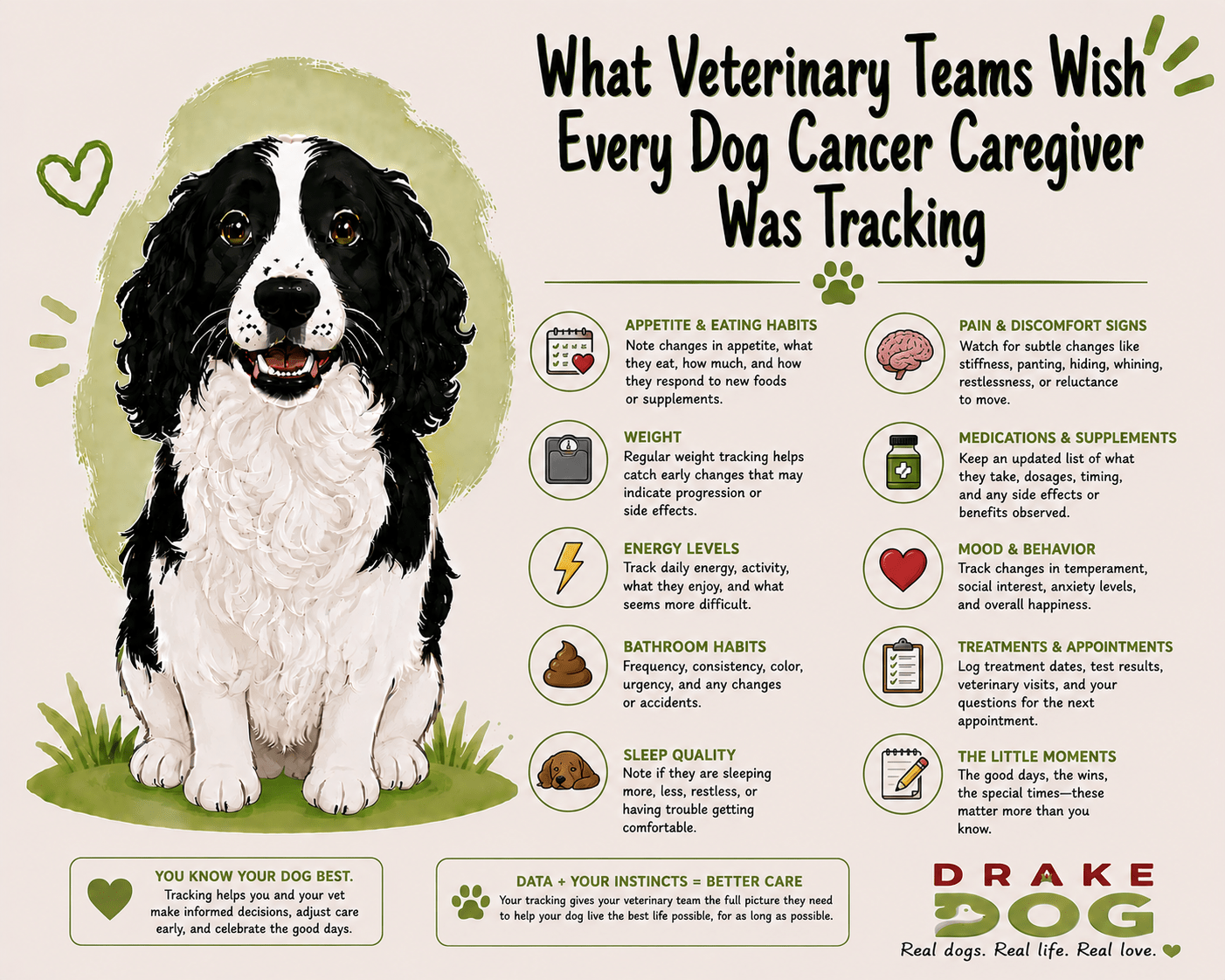 What Veterinary Teams Wish Every Dog Cancer Caregiver Was Tracking - Drake Dog Cancer Foundation