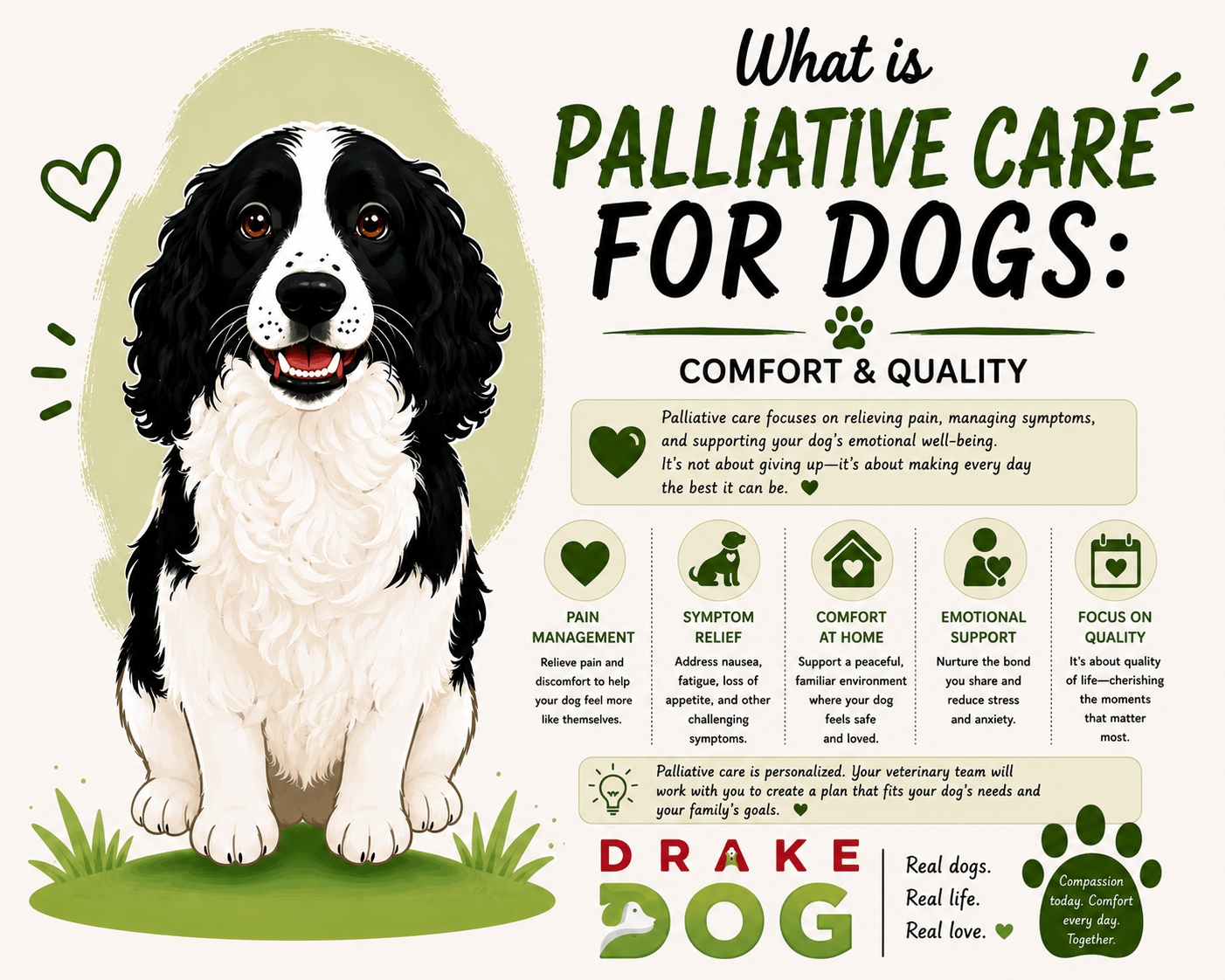 What is Palliative Care for Dogs: Comfort & Quality - Drake Dog Cancer Foundation