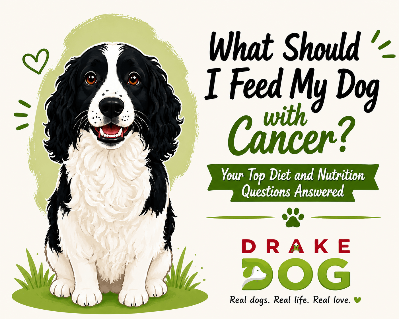What Should I Feed My Dog with Cancer? Your Top Diet and Nutrition Questions Answered - Drake Dog Cancer Foundation