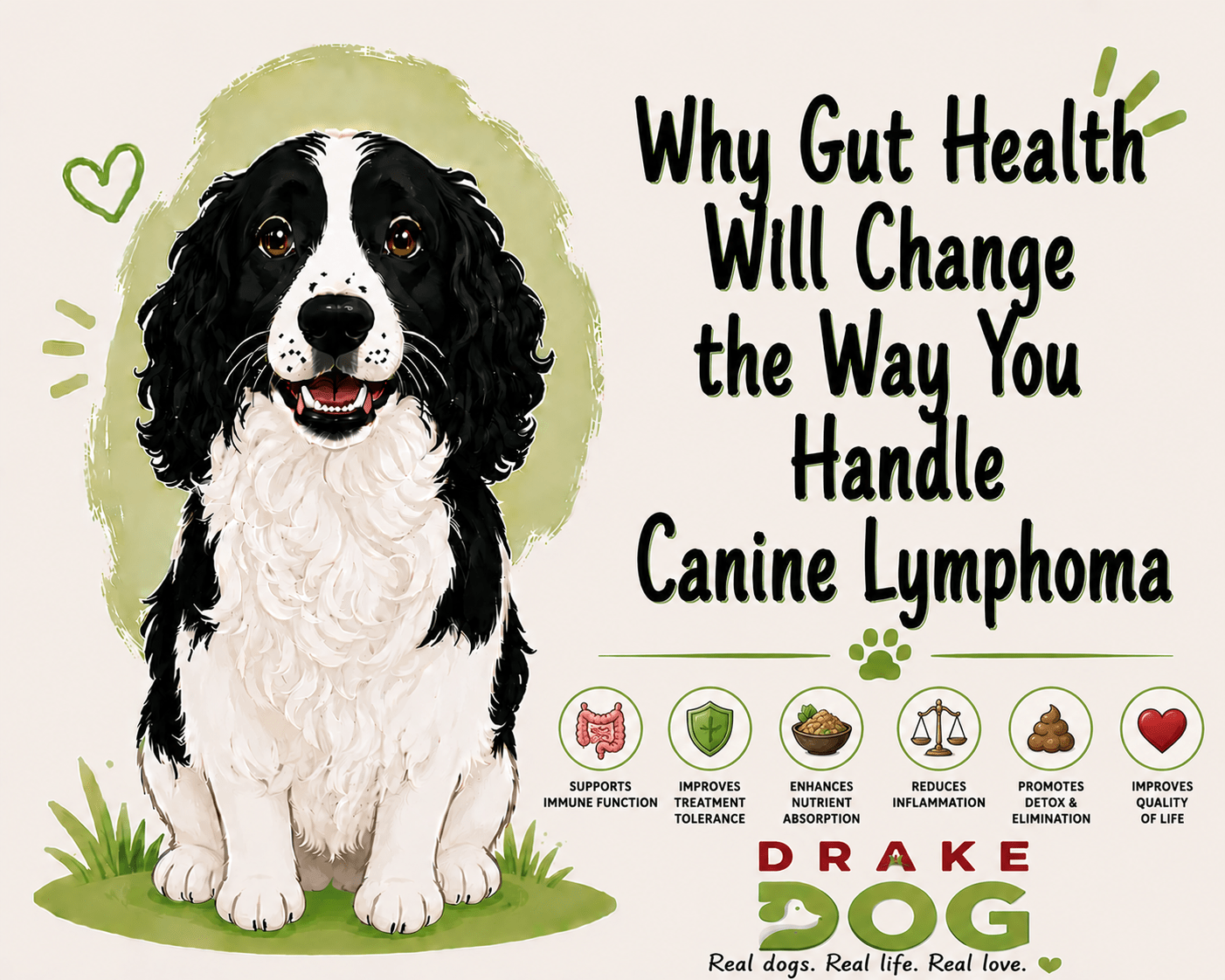 Why Gut Health Will Change the Way You Handle Canine Lymphoma - Drake Dog Cancer Foundation