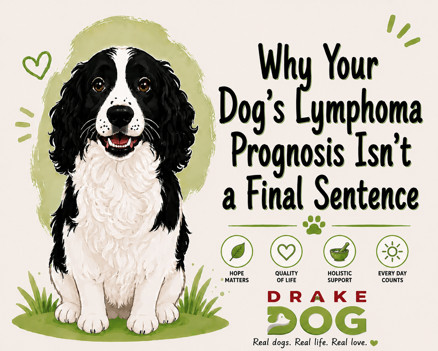 Why Your Dog’s Lymphoma Prognosis Isn’t a Final Sentence - Drake Dog Cancer Foundation