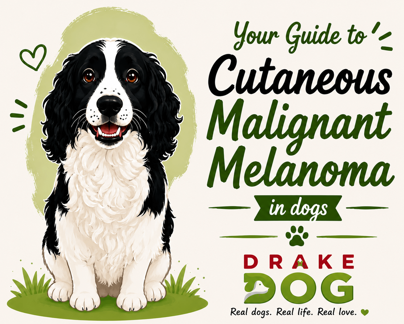 Your Guide to Cutaneous Malignant Melanoma in dogs - Drake Dog Cancer Foundation