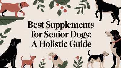 Best Supplements for Senior Dogs: A Holistic Guide