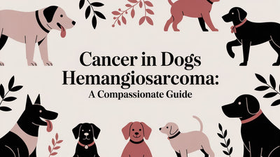 Cancer in Dogs Hemangiosarcoma: A Compassionate Guide - Drake Dog Cancer Foundation