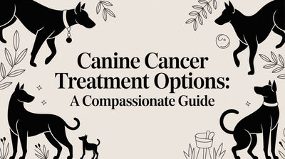 Canine Cancer Treatment Options: A Compassionate Guide - Drake Dog Cancer Foundation