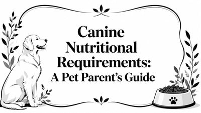 Canine Nutritional Requirements: A Pet Parent's Guide - Drake Dog Cancer Foundation