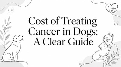 Cost of Treating Cancer in Dogs: A Clear Guide - Drake Dog Cancer Foundation