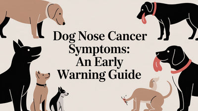 Dog Nose Cancer Symptoms: An Early Warning Guide - Drake Dog Cancer Foundation