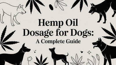 Hemp Oil Dosage for Dogs: A Complete Guide - Drake Dog Cancer Foundation