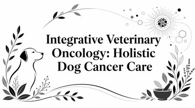 Integrative Veterinary Oncology: Holistic Dog Cancer Care - Drake Dog Cancer Foundation