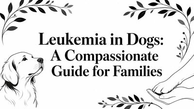 Leukemia in Dogs: A Compassionate Guide for Families