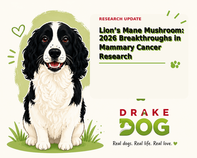 Lion’s Mane Mushroom: 2026 Breakthroughs in Mammary Cancer Research - Drake Dog Cancer Foundation