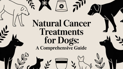 Natural Cancer Treatments for Dogs: a Comprehensive Guide - Drake Dog Cancer Foundation