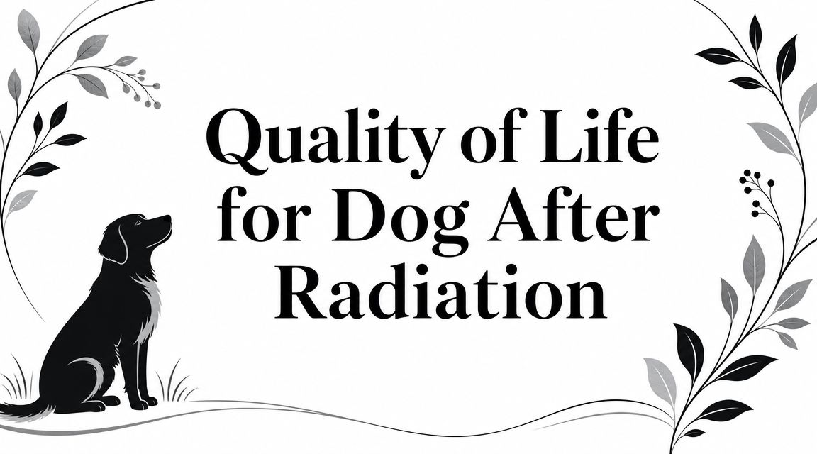 Quality of Life for Dog After Radiation - Drake Dog Cancer Foundation