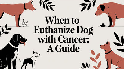 When to Euthanize Dog With Cancer: A Guide