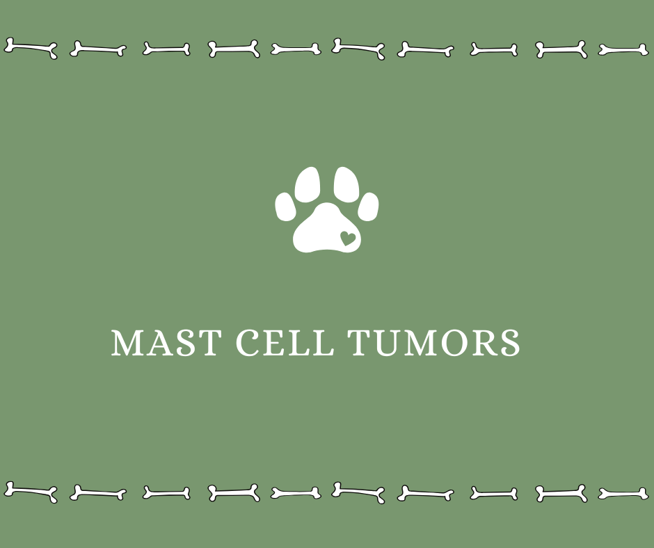 Mast Cell Tumors - Drake Dog Cancer Foundation
