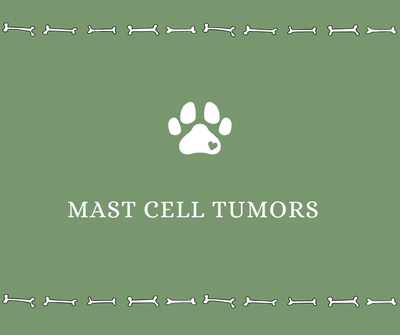 Mast Cell Tumors - Drake Dog Cancer Foundation